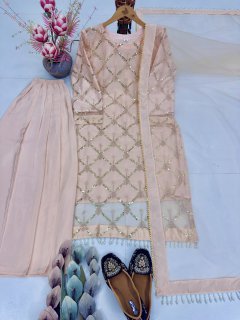 Blush Pink Hand Embellished Pakistani Salwar Suit with Net Dupatta