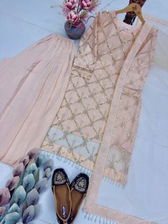 Blush Pink Hand Embellished Pakistani Salwar Suit with Net Dupatta